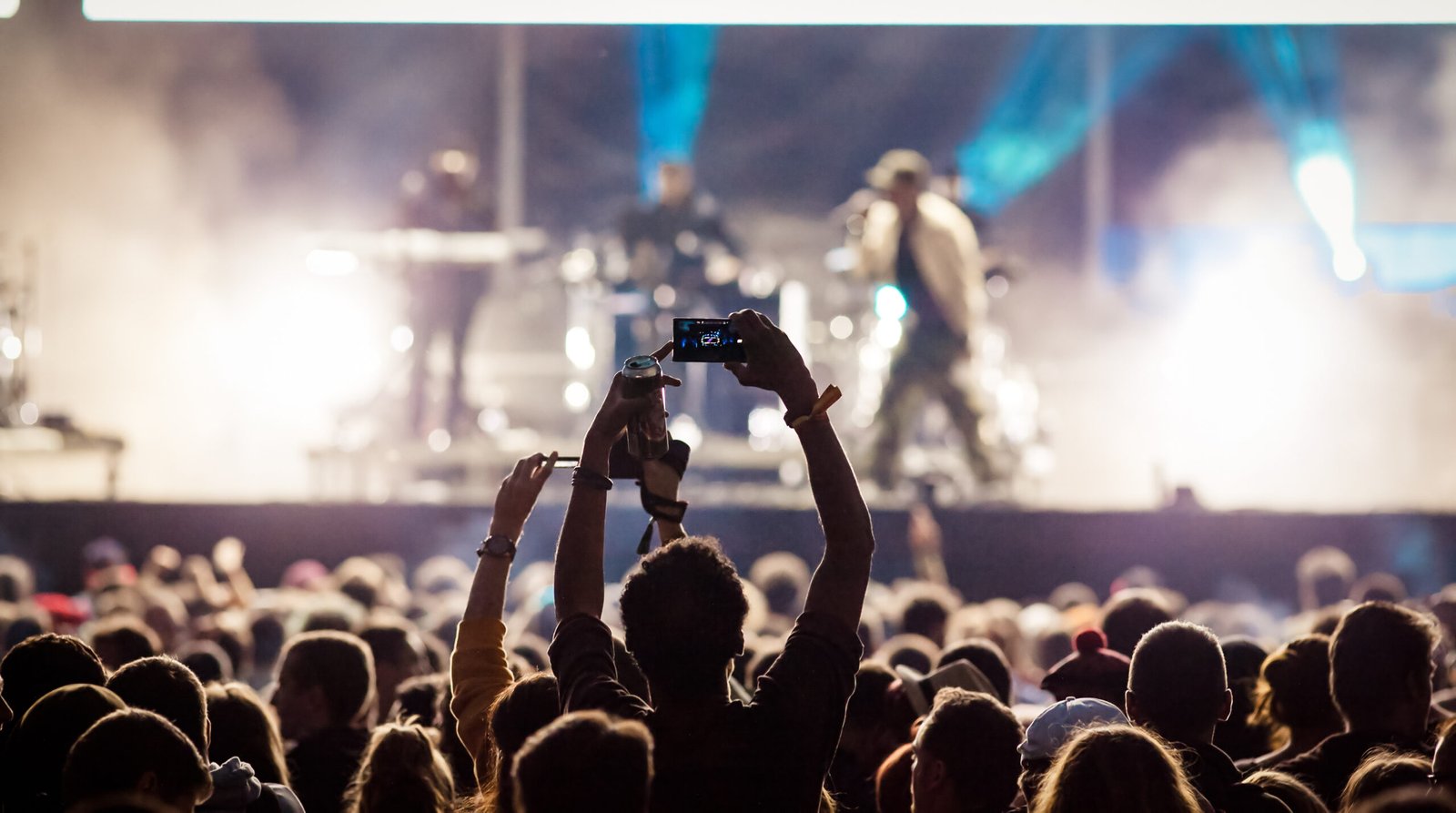 crowd at concert - summer music festival